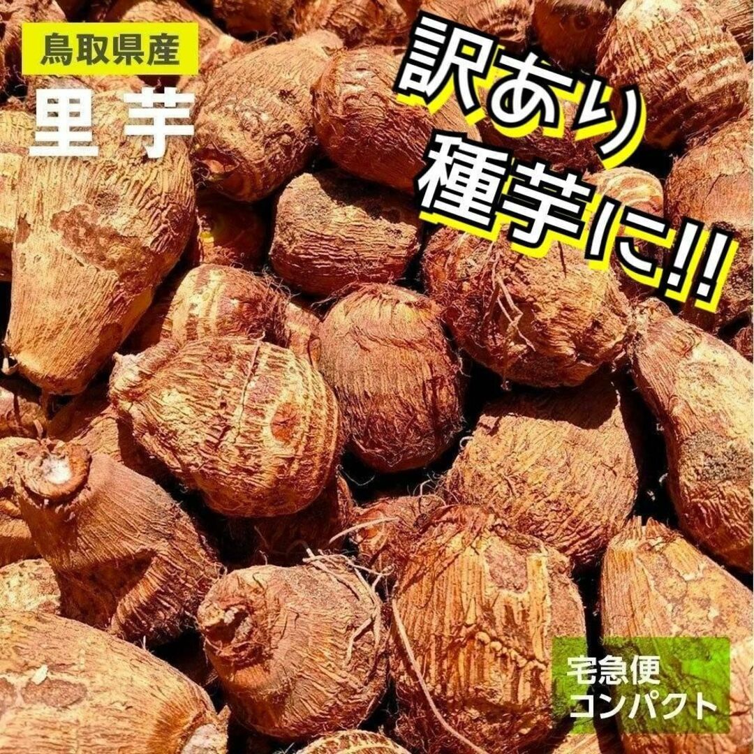 【訳あり】黄金里芋 大和芋 宅急便コンパクト 1kg さといも サトイモ 山芋 食品/飲料/酒の食品(野菜)の商品写真