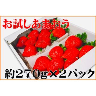 【送料込】秀品 大玉あまおう270g×2パック入 ご家庭でも 贈りものにも最適♪(フルーツ)