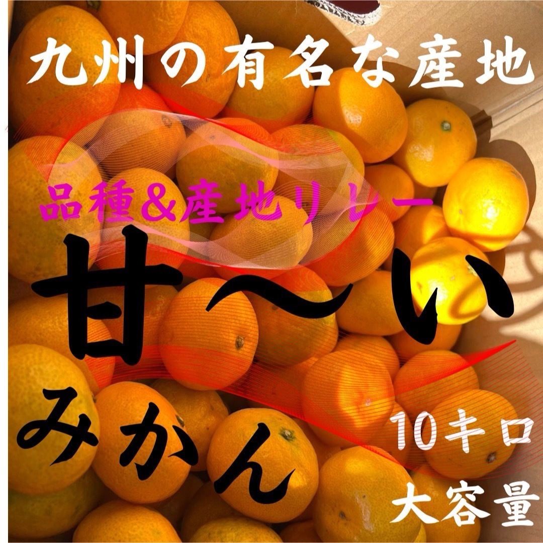 九州産　みかん　10キロ『濃く甘いです』　九州の産地&品種リレー　蜜柑 食品/飲料/酒の食品(フルーツ)の商品写真