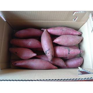 茨城県産紫芋　行方の紫福5kg(野菜)