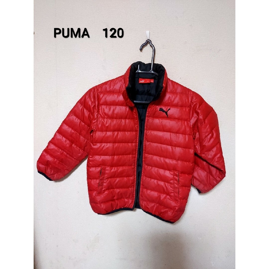 PUMA(プーマ)のPUMA120 キッズ/ベビー/マタニティのキッズ服男の子用(90cm~)(ジャケット/上着)の商品写真