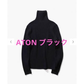 ユナイテッドアローズ(UNITED ARROWS)のNATURAL DYED WOOL | タートルネックリブセーター(ニット/セーター)