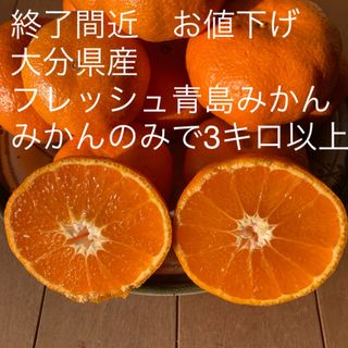 終了間近　お値下げ　大分県産 フレッシュ青島みかん　みかんのみで3キロ以上(フルーツ)