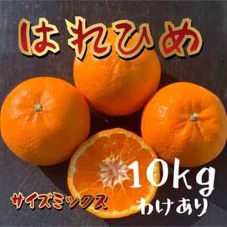 訳あり‼️和歌山県産有田みかん《はれひめ》10kg (フルーツ)