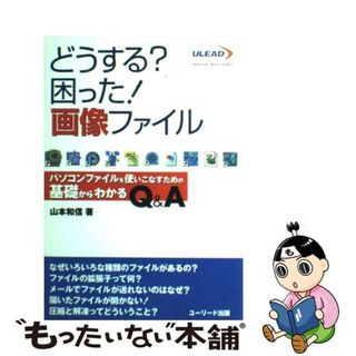 【中古】 どうする？困った！画像ファイル パソコンファイルを使いこなすための基礎からわかるＱ/グリーン・プレス/山本和信(コンピュータ/IT)