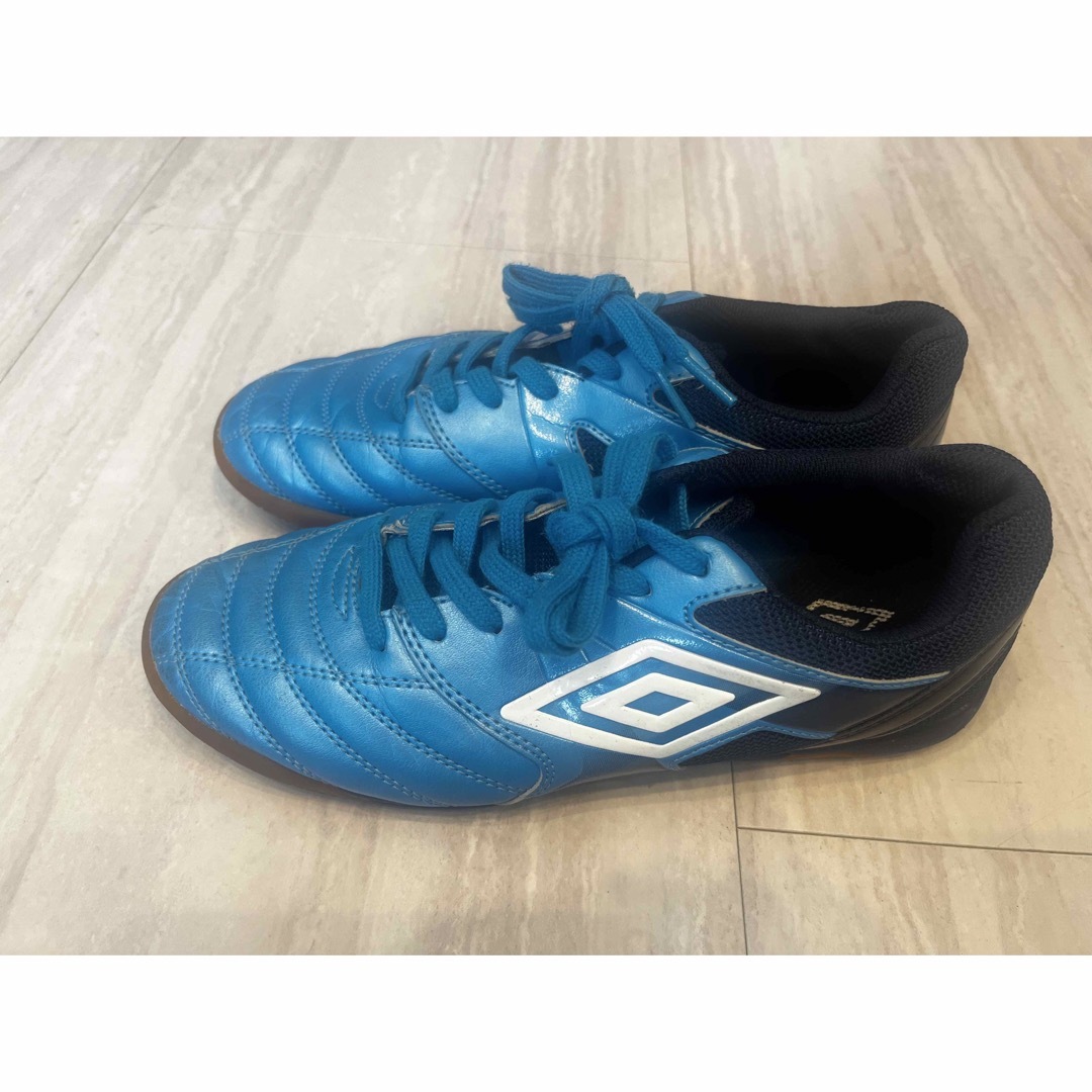 UMBRO(アンブロ)のumbro アンブロ　フットサルシューズ 25.0cm スポーツ/アウトドアのサッカー/フットサル(シューズ)の商品写真