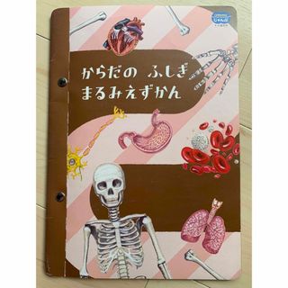 ベネッセ(Benesse)のからだのふしぎ まるみえずかん  児童書 こどもちゃれんじ じゃんぷ ５歳以上(絵本/児童書)