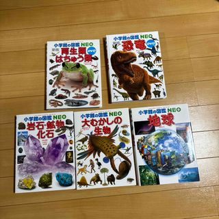 ショウガクカン(小学館)の5冊セット/小学館の図鑑NEO/両生類・はちゅう類(語学/参考書)