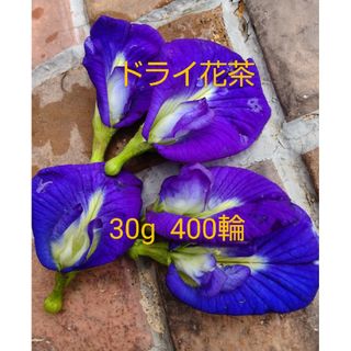 バタフライピー ハーブティー 花茶  毎日用 30g(健康茶)