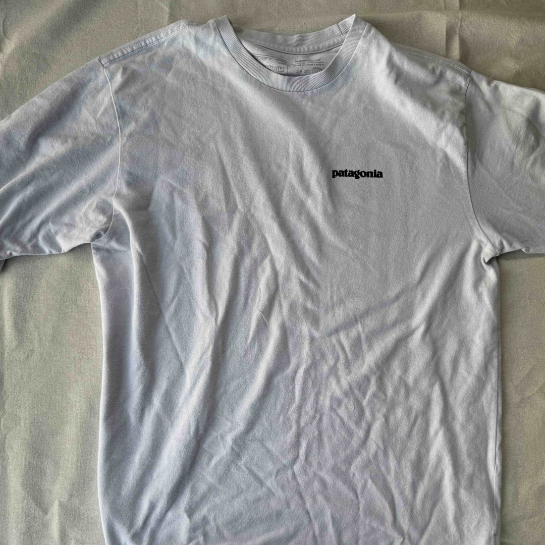 patagonia(パタゴニア)の【Patagonia】白 Tシャツ レディースのトップス(Tシャツ(半袖/袖なし))の商品写真