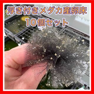 メダカ産卵床　浮き付き10個セット(アクアリウム)