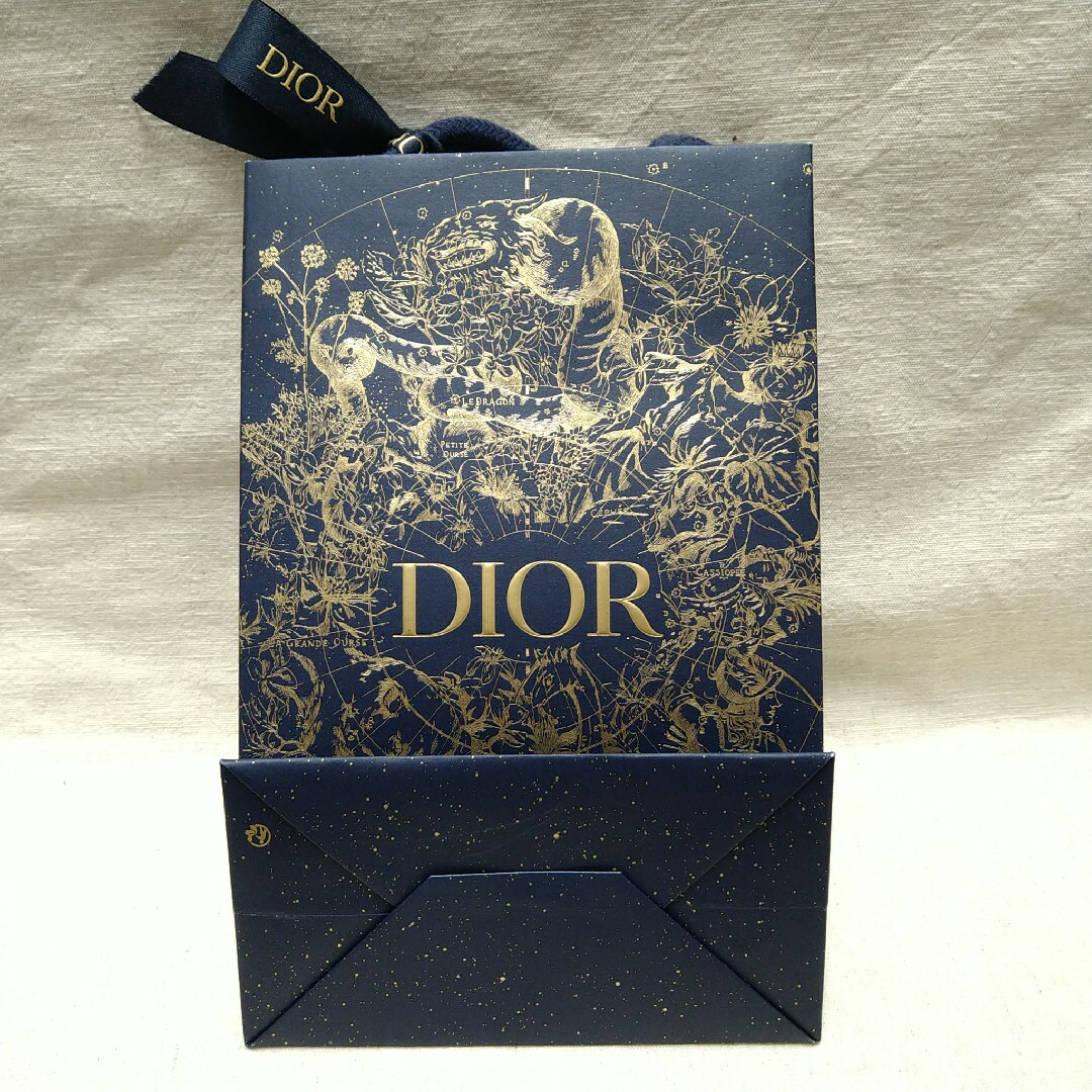 Christian Dior(クリスチャンディオール)のクリスチャンディオール　ショッパー　2022ホリデー限定 レディースのバッグ(ショップ袋)の商品写真