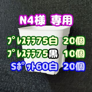 【スリット鉢】プレステラ75白20個 他 多肉植物 プラ鉢(プランター)