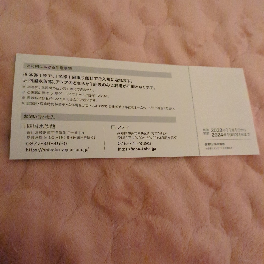 ウエスコホールディングス株主優待券　四国水族館　アトア チケットの施設利用券(水族館)の商品写真