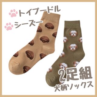 セール★靴下　レディース　まとめ売り　犬柄　愛犬　シーズー　トイプードル　茶色(ソックス)