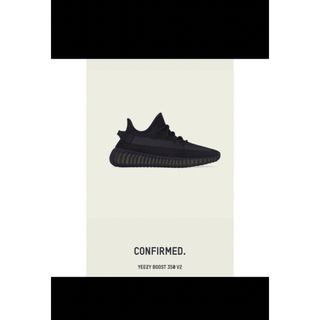 アディダス(adidas)のadidas YEEZY Boost 350 V2 Onyx(スニーカー)