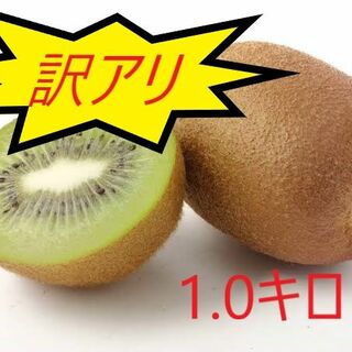 【今が旬】キウイの国 愛媛県産グリーンキウイ　Ｂサイズ1キロ(フルーツ)
