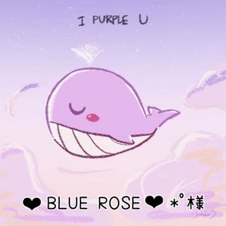 ボウダンショウネンダン(防弾少年団(BTS))の︎ ❤︎BLUE ROSE ❤︎*゜様(アイドルグッズ)