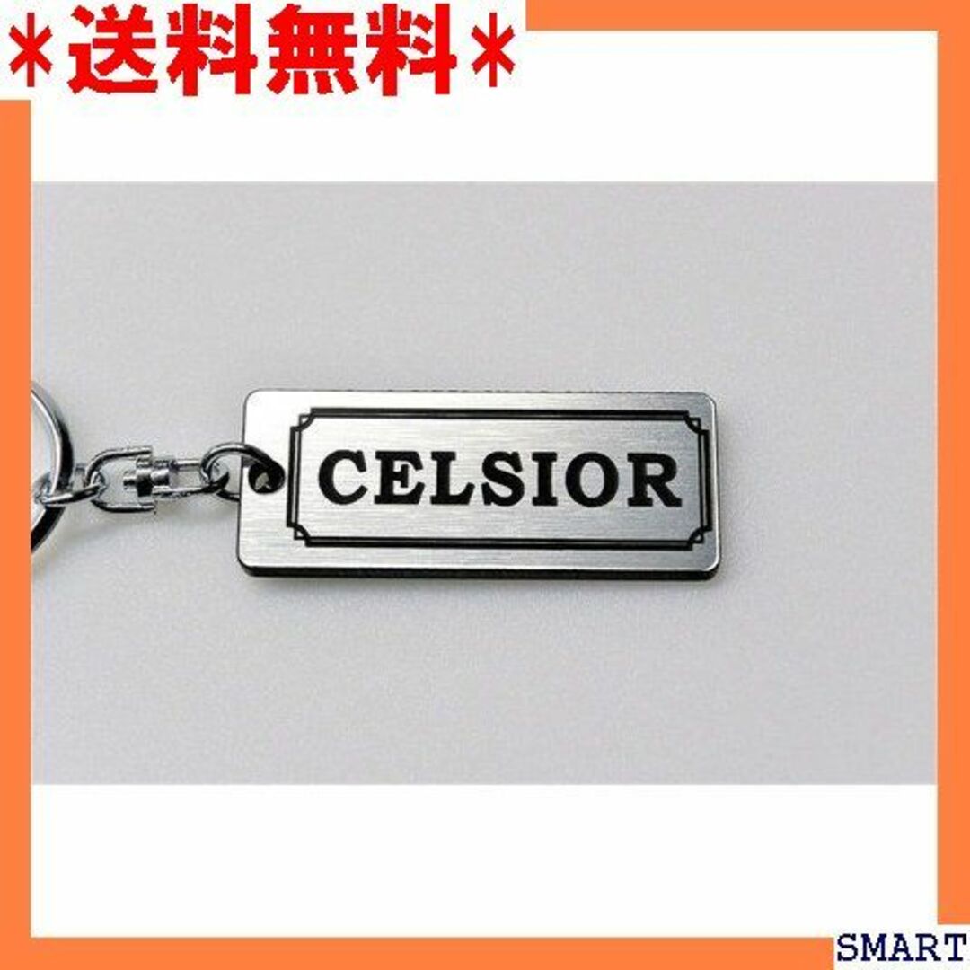 ☆人気 A-605-2 CELSIOR 銀黒 シルバー2重 前期 後期 1189 レディースのレディース その他(その他)の商品写真