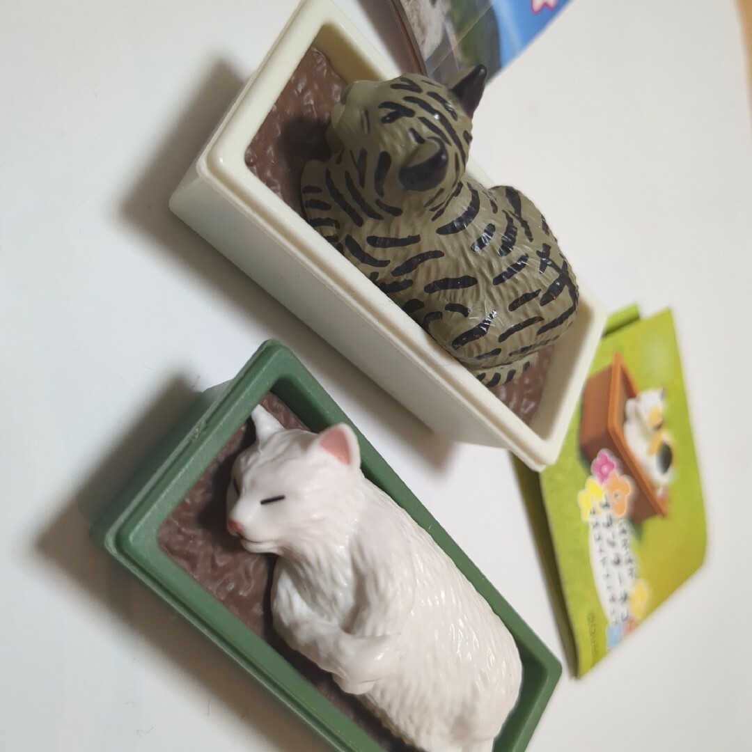 ガチャガチャ　ねこセット　猫　ガチャ エンタメ/ホビーのコレクション(その他)の商品写真
