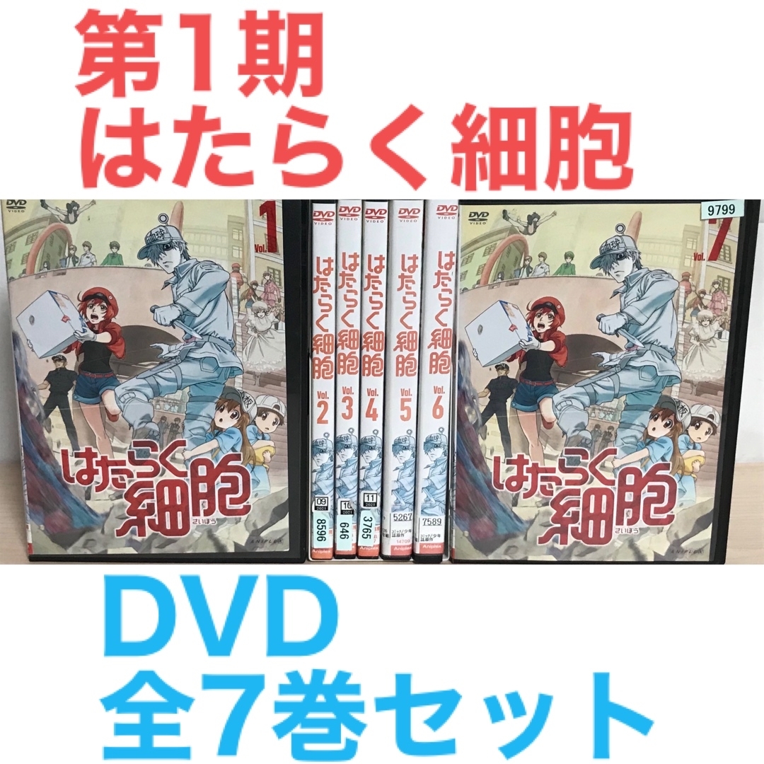 アニメ第1期『はたらく細胞』DVD 全7巻セット 全巻セット DVD アニメ第1期『はたらく細胞』DVD 全7巻セット 全巻セット DVD