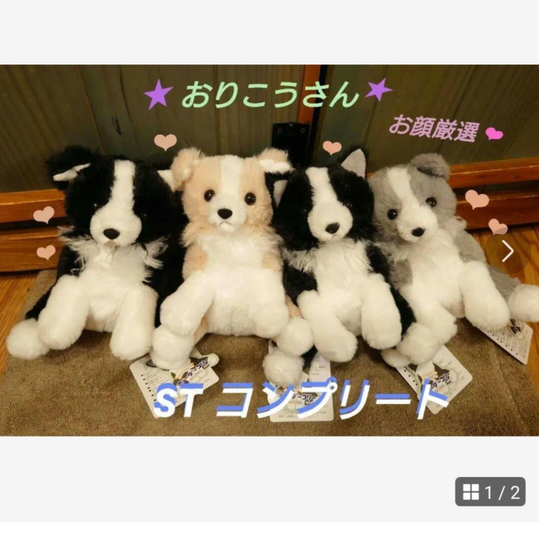 くったりボーダーコリー【新作】おりこうさん STコンプリートの くったりボーダーコリー【新作】おりこうさん STコンプリートの
