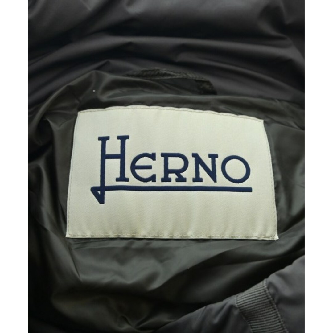 HERNO(ヘルノ)のHERNO ヘルノ ダウンジャケット/ダウンベスト 44(L位) グレー 【古着】【中古】 レディースのジャケット/アウター(ダウンジャケット)の商品写真