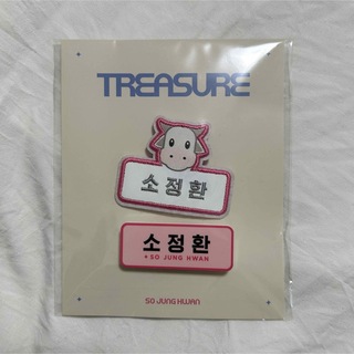 トレジャー(TREASURE)のTREASURE ネームタグ ジョンファン(K-POP/アジア)