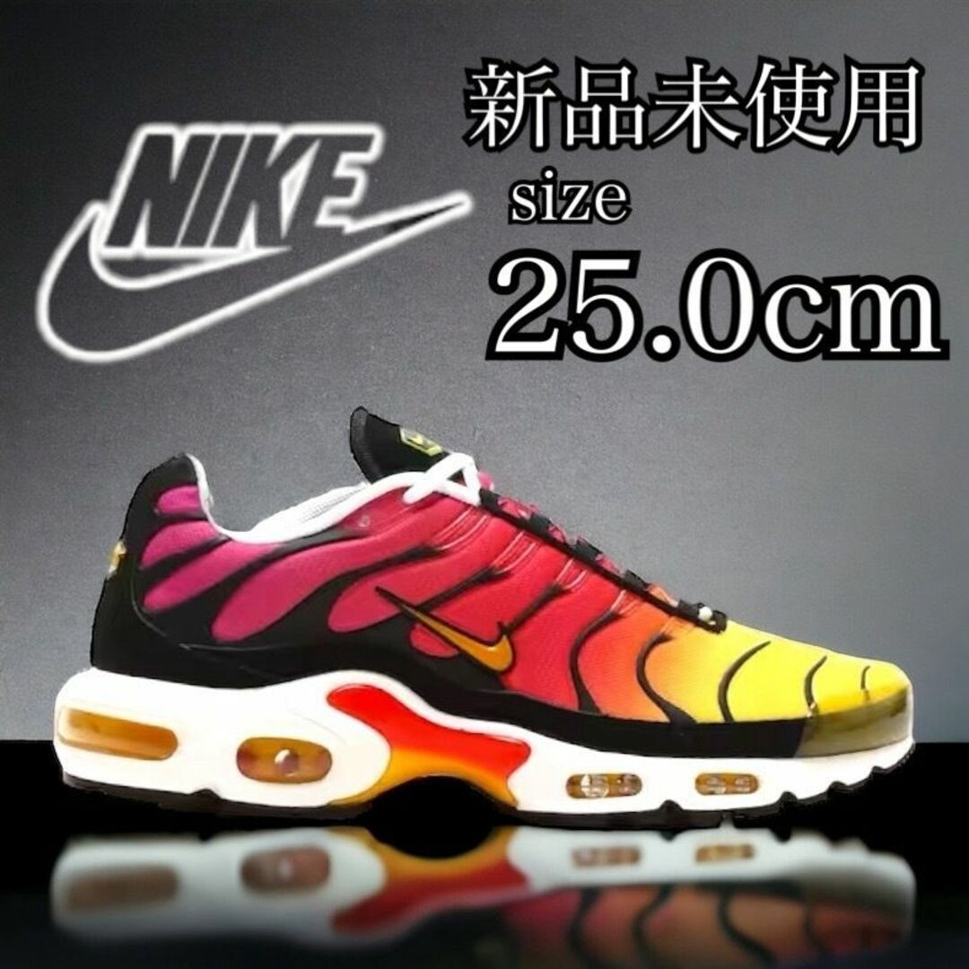 NIKEナイキ商品名新品 NIKE 25.0cm AIR MAX PLUS エアマックス プラス