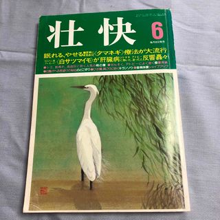 壮快 平成5年 レトロ　 ツボ(健康/医学)