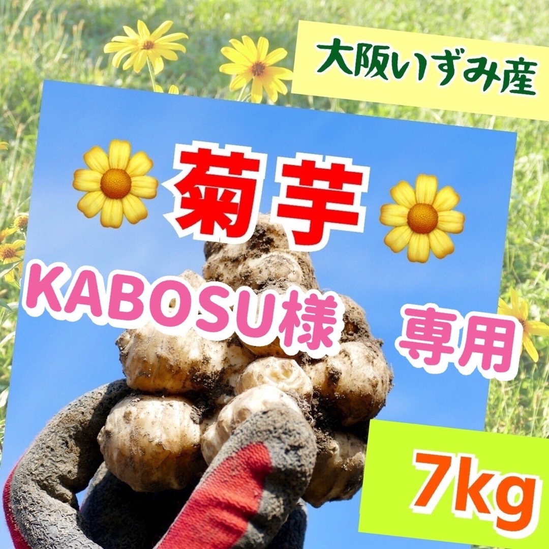 ❤️【産直・大阪いずみ産】菊芋（白）〜7kg 食品/飲料/酒の食品(野菜)の商品写真