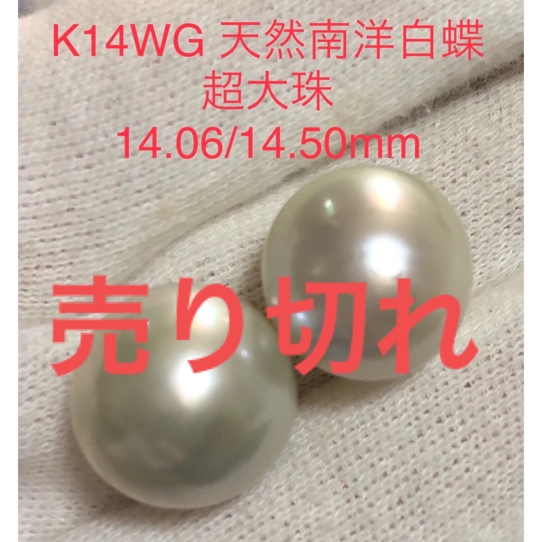 K14WG 天然南洋白蝶真珠　超大珠ピアス　14.06/14.50mmアクセサリー