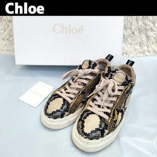 クロエ(Chloe)のChloe パイソン スニーカー 型押し カーフレザー 38 約24cm(スニーカー)