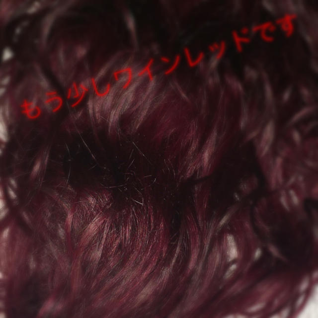 マニックパニック NewRose ワインレッド新品 コスメ/美容のヘアケア/スタイリング(カラーリング剤)の商品写真