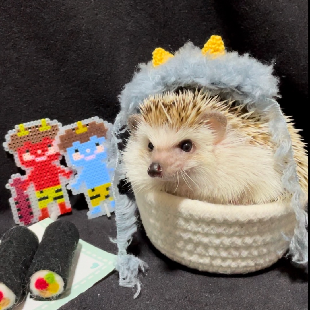 節分👹　【グレー】ふかふか鬼帽子（ハリネズミ、小動物用） ハンドメイドのペット(ペット服/アクセサリー)の商品写真