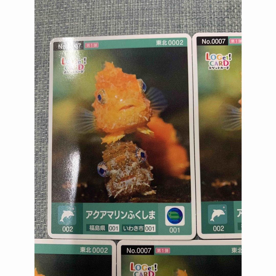 アクアマリンふくしま　ロゲットカード  エンタメ/ホビーのトレーディングカード(その他)の商品写真