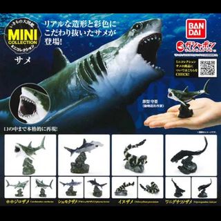 いきもの大図鑑ミニコレクションサメ鮫カプセル玩具ガチャポンsharkシャーク(その他)