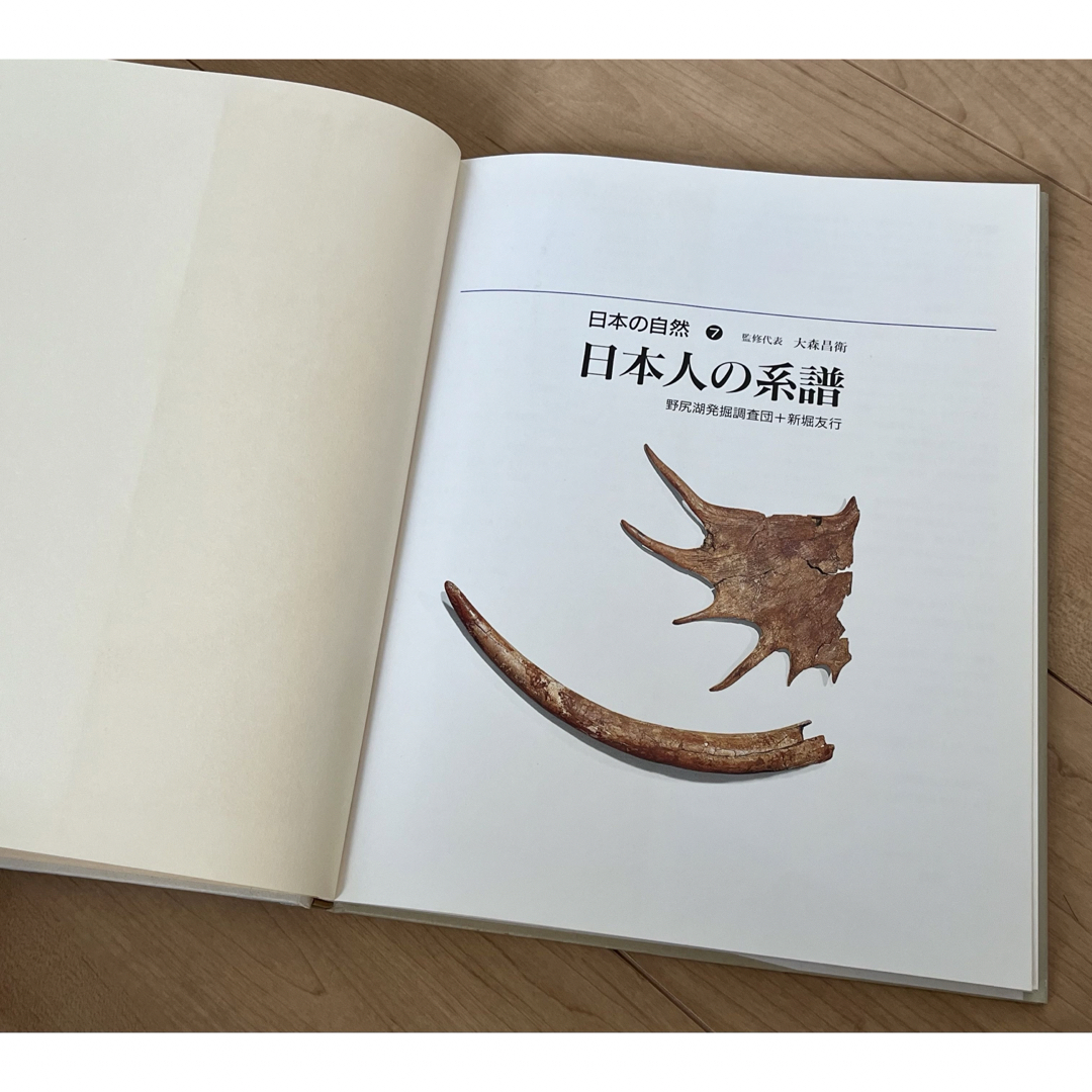 日本人の系譜　カラーシリーズ日本の自然7　野尻湖発掘調査団　平凡社　 エンタメ/ホビーの本(人文/社会)の商品写真