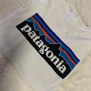 パタゴニア(patagonia)のパタゴニア　M 長袖(Tシャツ/カットソー(七分/長袖))