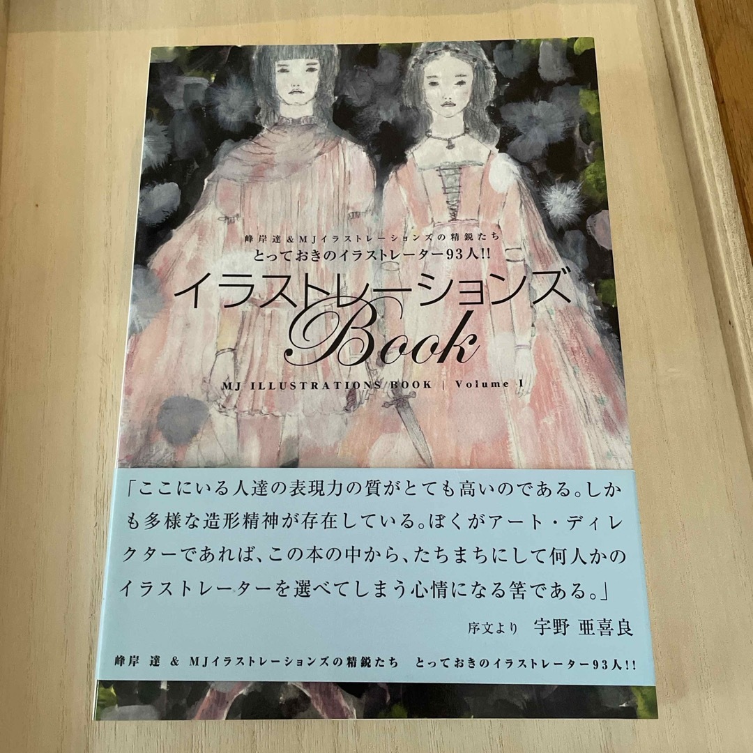 イラストレ－ションズＢｏｏｋ エンタメ/ホビーの本(アート/エンタメ)の商品写真