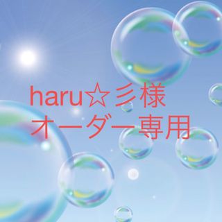 haru☆彡様　専用(外出用品)