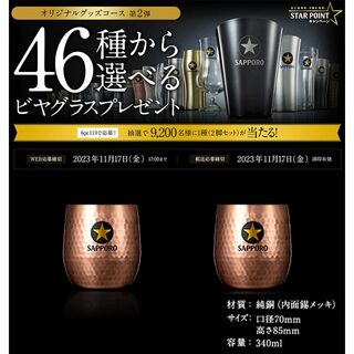 【非売品】 サッポロ 生ビール 黒ラベル 46種から選べる ビヤグラス No34(ノベルティグッズ)