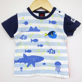 ベビードール 半袖Tシャツ ボーダー柄 ドリー ベビー 男の子用 80サイズ ブルー BABYDOLL(Ｔシャツ)