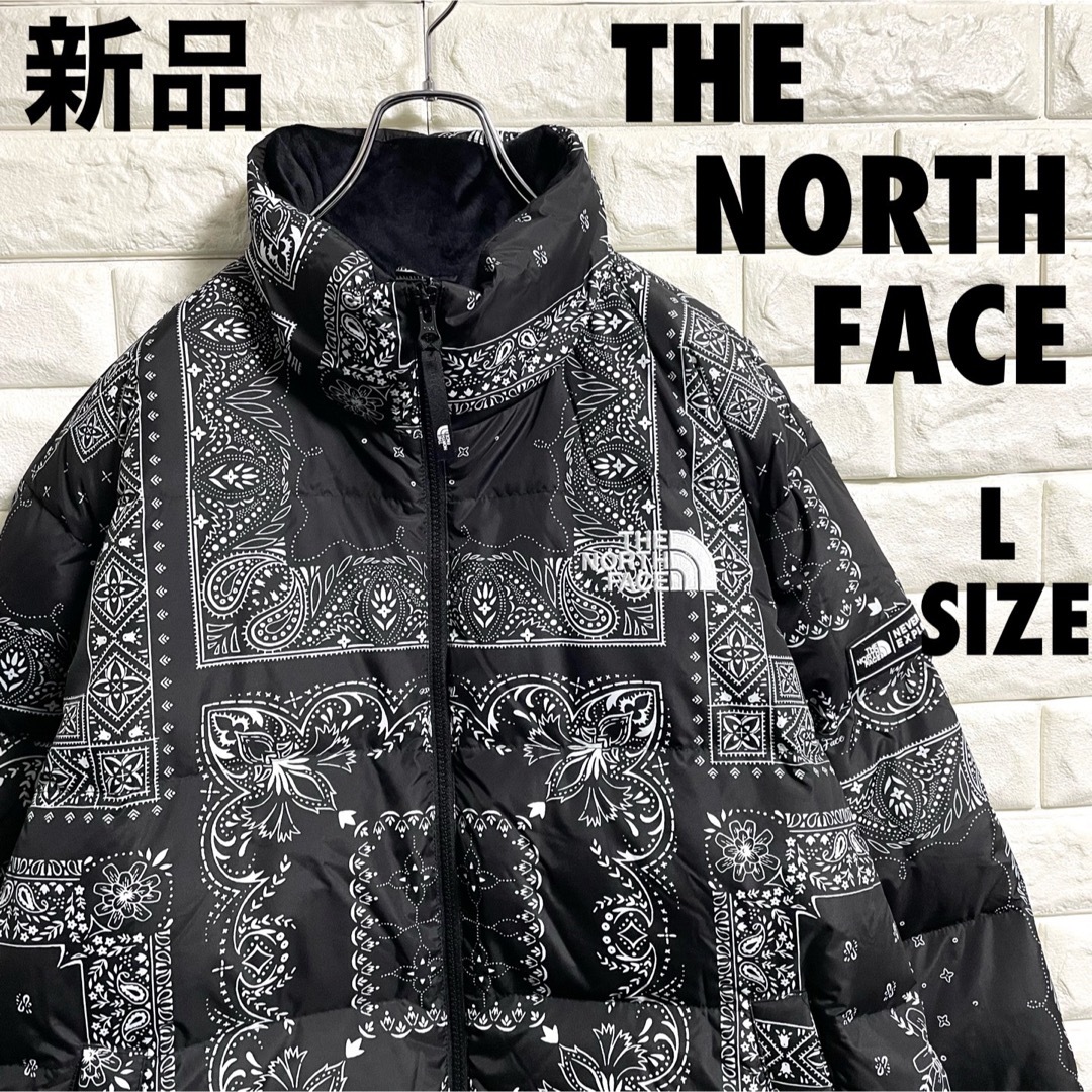 THE NORTH FACE(ザノースフェイス)の新品　THE NORTH FACE NOVELTY LOFTY DOWN メンズのジャケット/アウター(ダウンジャケット)の商品写真