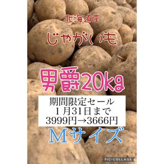 北海道産じゃがいも男爵20kg(野菜)