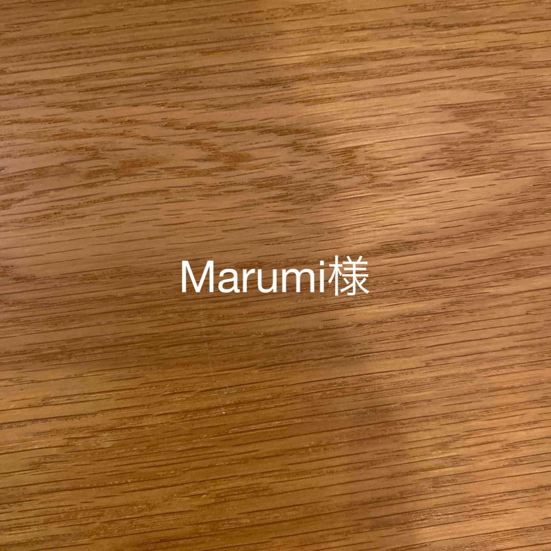 ✳︎marumi 様専用✳︎ レディースのトップス(Tシャツ(半袖/袖なし))の商品写真