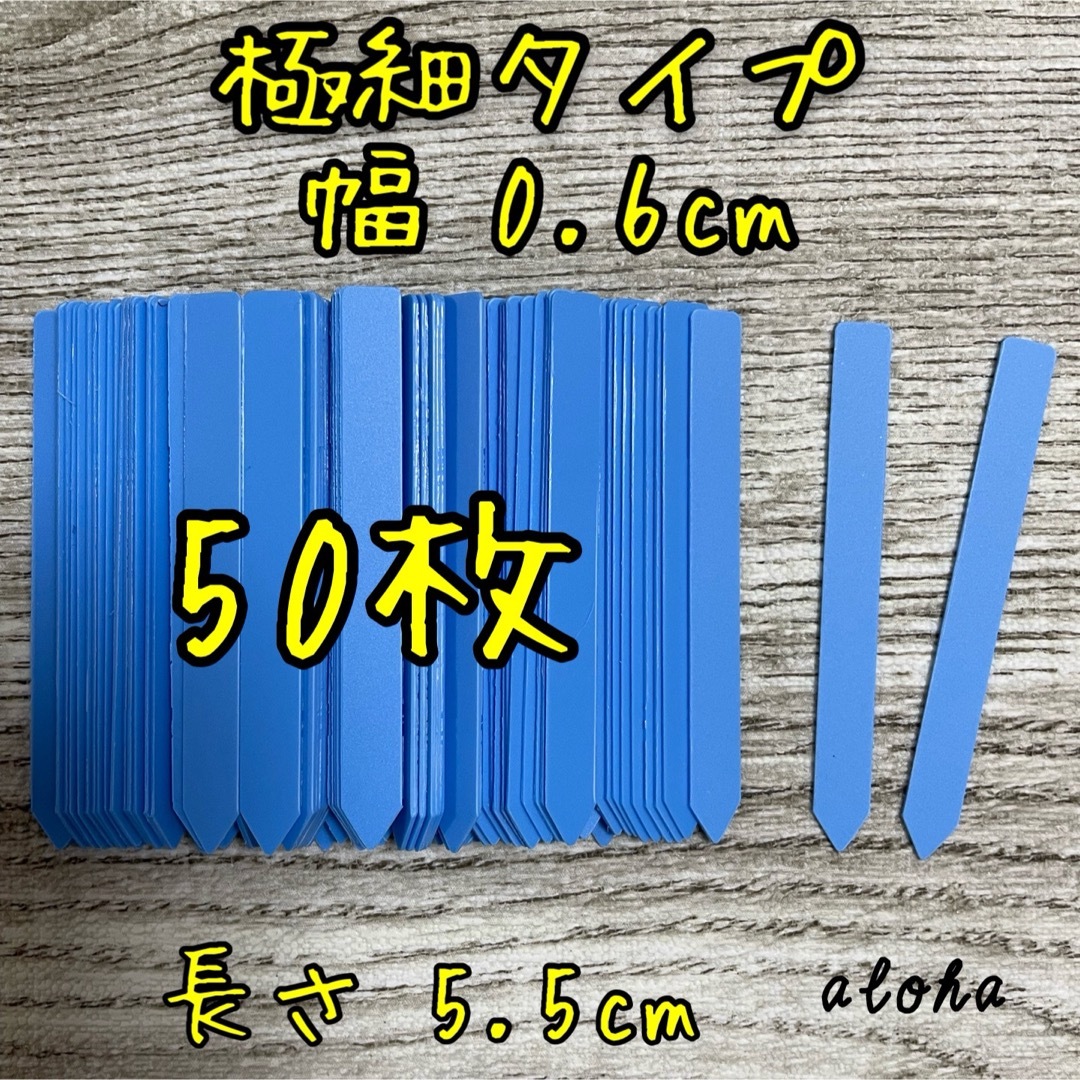 ブルー　50枚 多肉植物 アガベ サボテンに◎ 園芸用 ラベル ネームラベル ハンドメイドのフラワー/ガーデン(その他)の商品写真