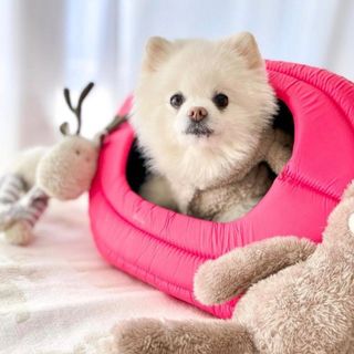 《美品 PULLER AIR VEST PETHOUSE PINK 送料込み》(犬)