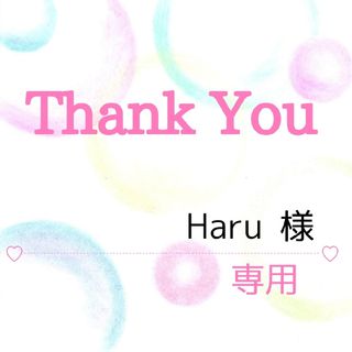 Haru 様専用(その他)