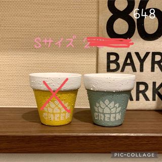 リメ鉢<648 （S）多肉植物　サボテン　おひとり様(プランター)